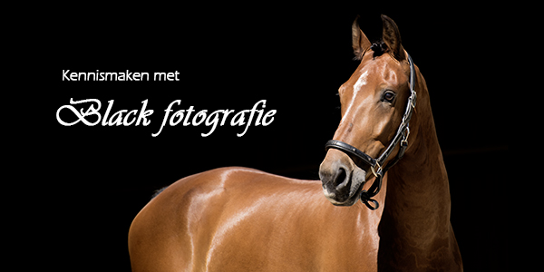 kennismaken met black fotografie